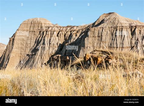 Dinosaur Provincial Park UNESCO World Heritage Site Alberta Canada Stock Photo - Alamy