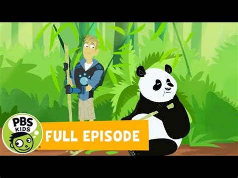 Wild Kratts FULL EPISODE | 🐼 Panda Power U... - VideoLink