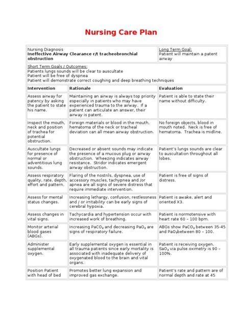 Nursing Care Plan - Ineffective Airway Clearance | PDF | Respiratory ...