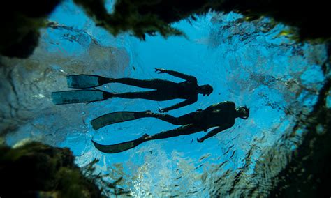 Choosing Fins for Freediving