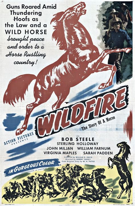 Wildfire (1945) - Posters — The Movie Database (TMDB)