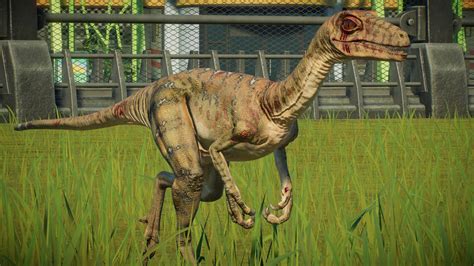 Jurassic Ark: Troodon by Marmotte5280 on DeviantArt