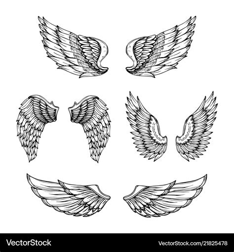 Hand drawn wing sketch angel wings with feathers Vector Image