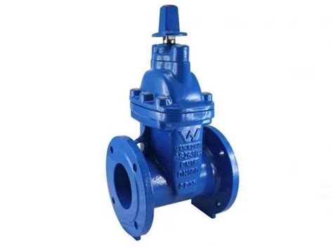 Cast Steel Valve - Cast Steel Sluice Valve Manufacturer from Mumbai