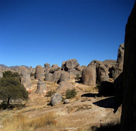 Living Rootless: City of Rocks State Park, New Mexico