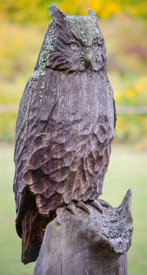 Wooden Crafted Owl Sculpture Stock Photo - Image of wooden, design: 83989634