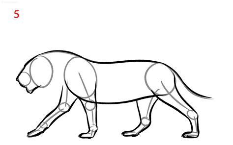 How To Draw A Lion Full Body - Infoupdate.org