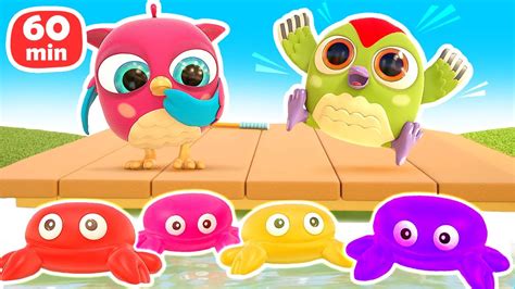 Baby cartoons & baby videos - Hop Hop the owl full episodes cartoons for kids - Toys and colors ...