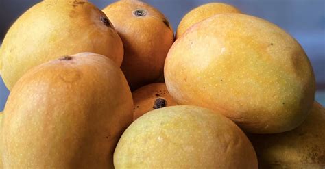 Ripe Yellow Mangoes on White Ceramic Plate · Free Stock Photo