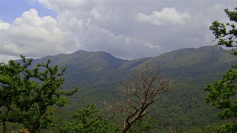 Sathyamangalam Tiger Reserve and Germalam Trek