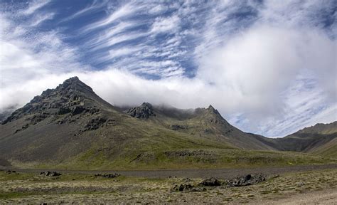 Reforesting Iceland | Kid Scoop