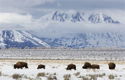 The Best National Parks to Visit in the Winter – Bearfoot Theory