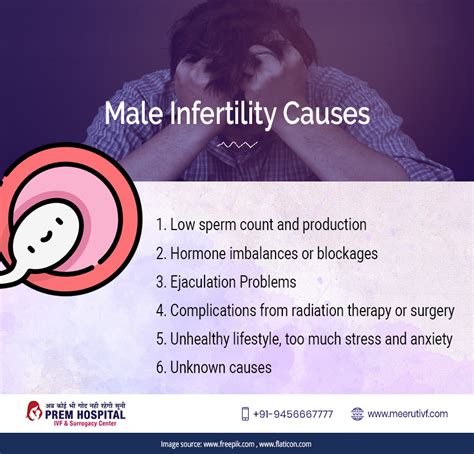 The Most Common Causes of Male Infertility - Best IVF Hospital in Meerut