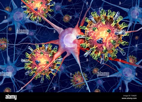 Viral Meningitis Cell