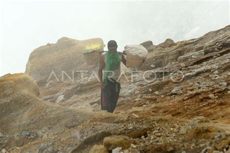 Penambang belerang di Gunung Ijen | ANTARA Foto