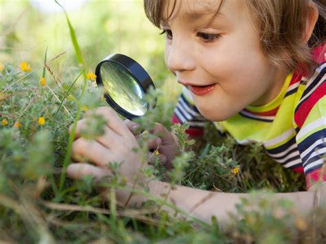 Activities for Strengthening Observation Skills