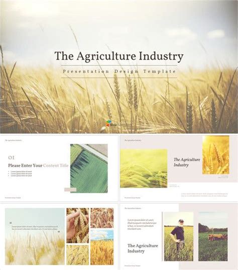 The Agriculture Industry_16:9_MS Powerpoint in 2021 | Presentation, Presentation design ...