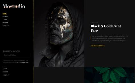 Dark Colored Responsive Website Template | ThemeWagon