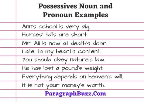 50+ Possessives Noun and Pronoun Examples in Sentence