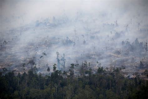 Health risks of climate change in Asia | East Asia Forum