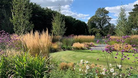 Prairie style planting in Hertfordshire garden design - Amanda Broughton Garden Design