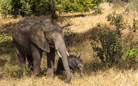 Arusha National Park