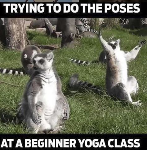 These Yoga Memes Will Make You Zen AF - Namaste Y'all | Memes