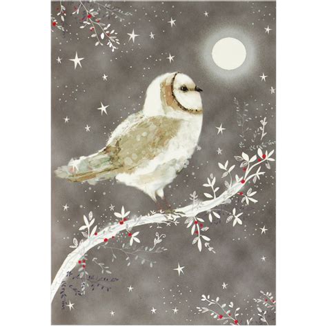 Starry Night Owl Boxed Holiday Cards by Peter Pauper Press – Outer Layer