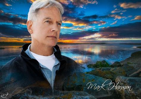 Mark Harmon NCIS Wallpapers - Top Free Mark Harmon NCIS Backgrounds ...