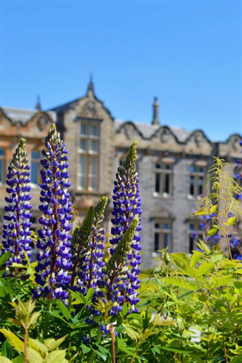 3-minute travel guide: St Andrews, Scotland - UCEAP Blog