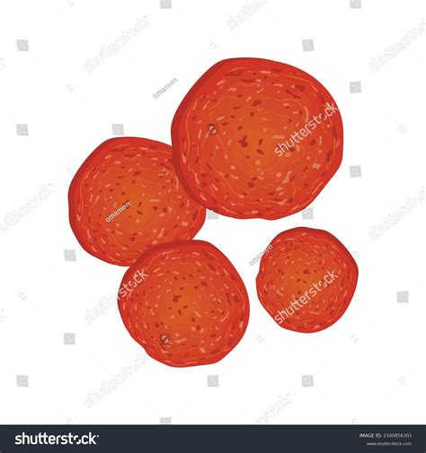 Pepperoni Pizza Vector Illustration Food Menu Stock Vector (Royalty ...