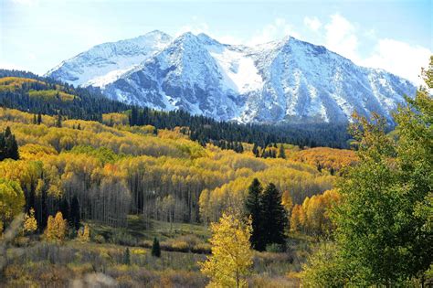 mountains, Forest, Trees, Autumn, Landscape Wallpapers HD / Desktop and ...