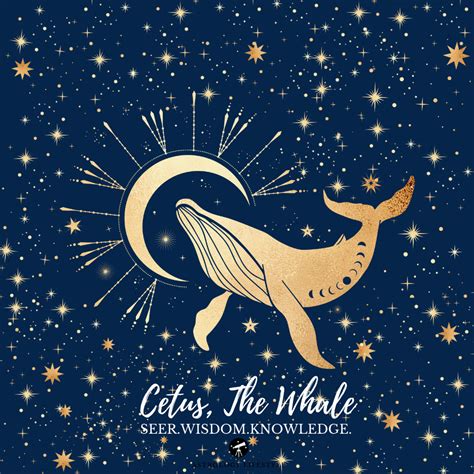 Cetus the Whale, Astrology Constellation and Fixed Stars ⋆