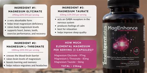 Magnesium Glycinate vs L-Threonate vs Taurate - Intelligent Labs