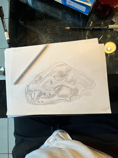 Jaguar Skull : r/drawing