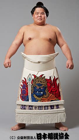 Cool Sumo Kesho-Mawashi Designs! – JapanSauce.Net