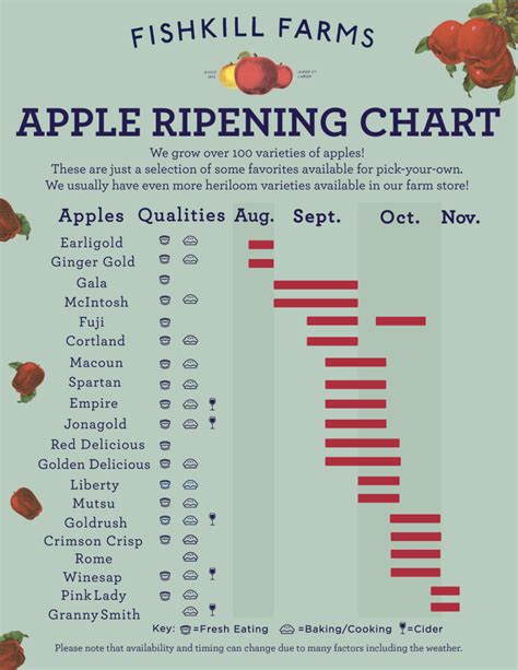 Apple Ripening Chart | Fishkill Farms