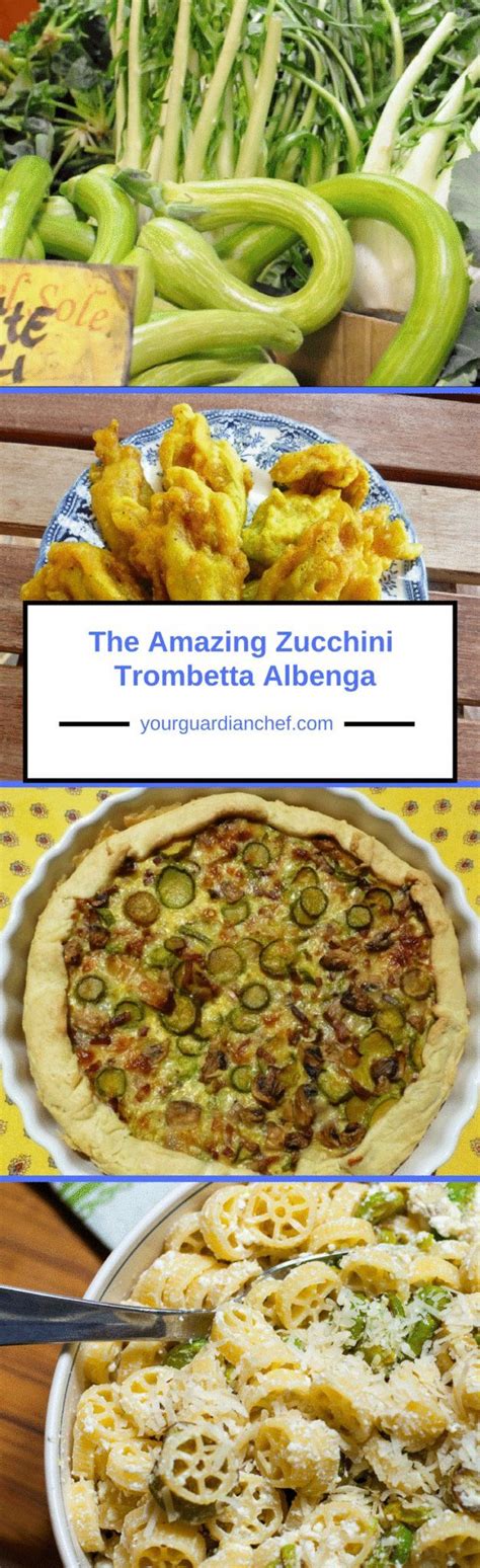 Zucchini Trombetta Albenga | Zucchini recipes healthy, Delicious dinner recipes, Zucchini recipes