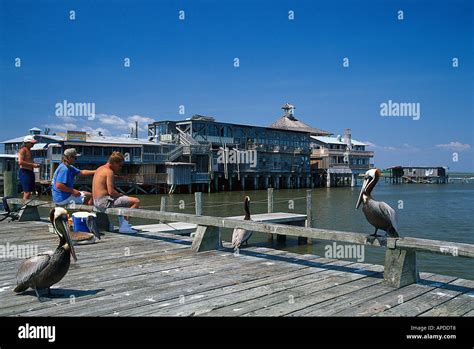 Fishing at the pier, Cedar Key Florida, USA Stock Photo - Alamy