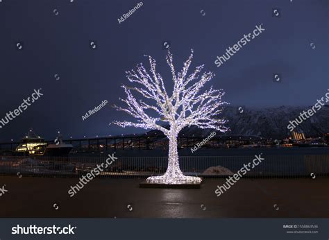 Christmas Tree Lights Night Stock Photo 1558863536 | Shutterstock