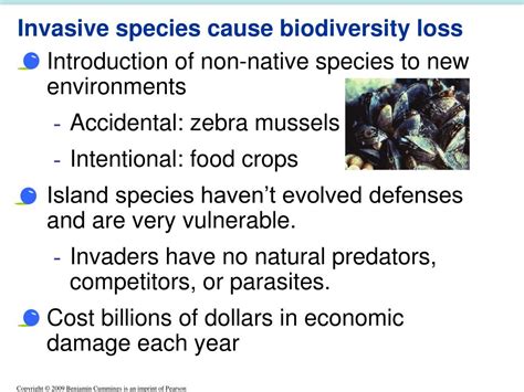 PPT - 009 Biodiversity & Conservation Biology PowerPoint Presentation - ID:6798354