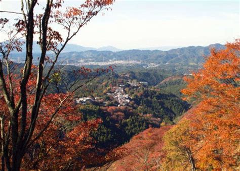 Mount Yoshino (Nara) in Fall: Exploring One of Japan's Famous Places for Autumn Leaves! | LIVE ...