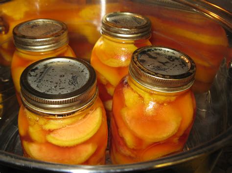 Simply Homemaking: Canning clingstone peaches without sugar... Whew!