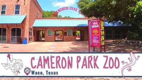 Cameron Park Zoo | Waco, Texas - YouTube