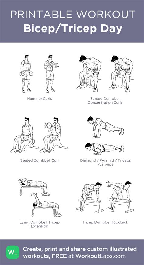 35+ Triceps workout home dumbbells partner | absworkoutcircuit