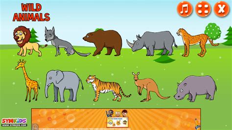 hewan-predator2016: Images Of Wild Animals For Kids Images