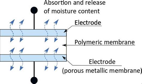 Measurement principle of the polymeric capacitive humidity sensor | Download Scientific Diagram