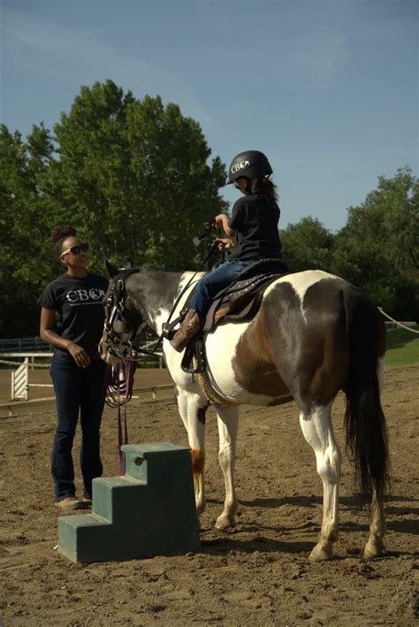 When should you start horseback riding lessons? - Horse Rookie