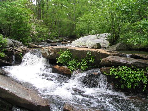 Cheaha State Park Alabama | Sweet home alabama, State parks, Home alabama