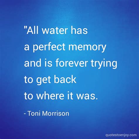 All water has a perfect memory and is forever trying to... - Toni Morrison